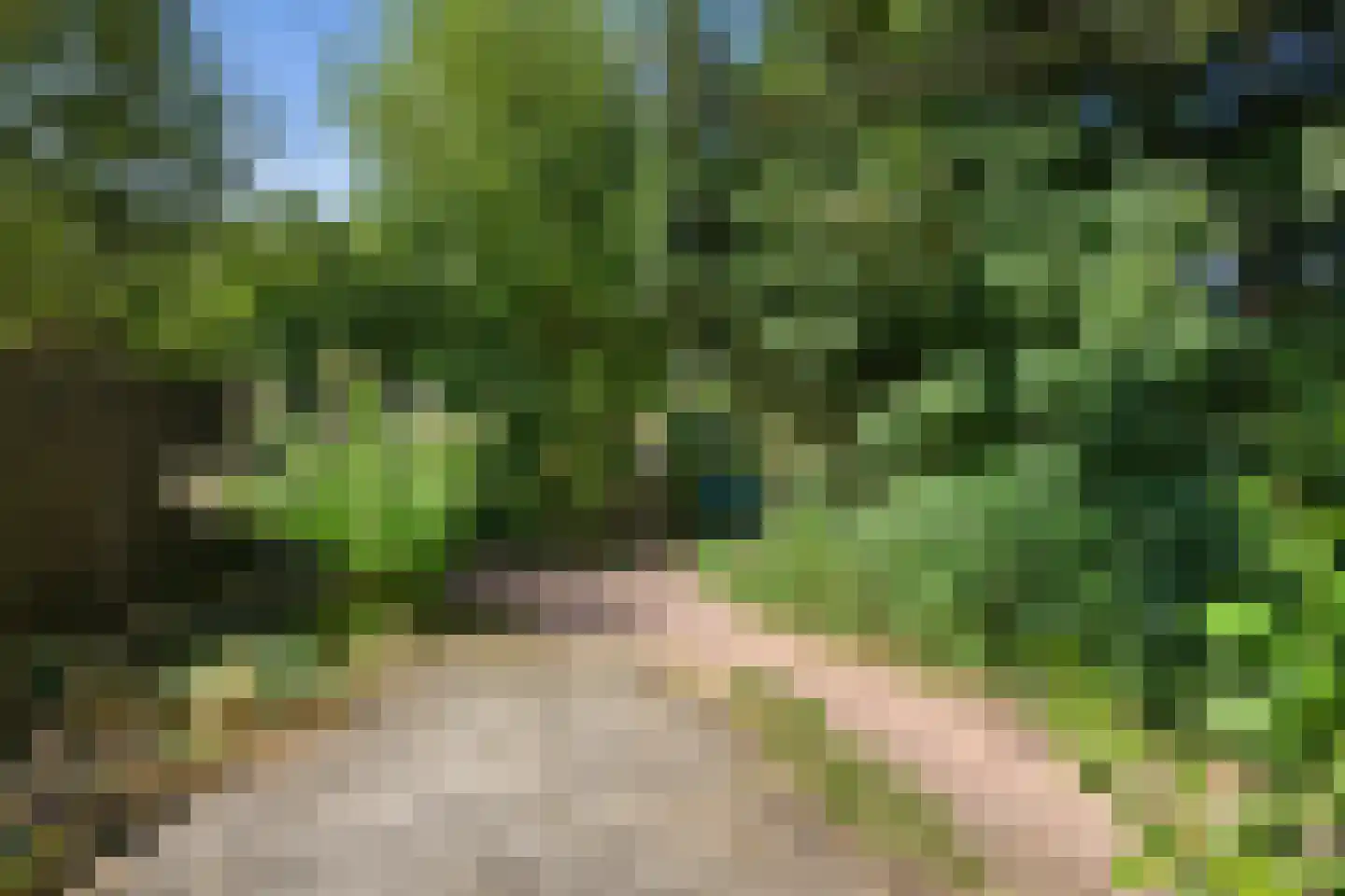 Dr. D. Bosstraat 1 Groningen thumbnail 34