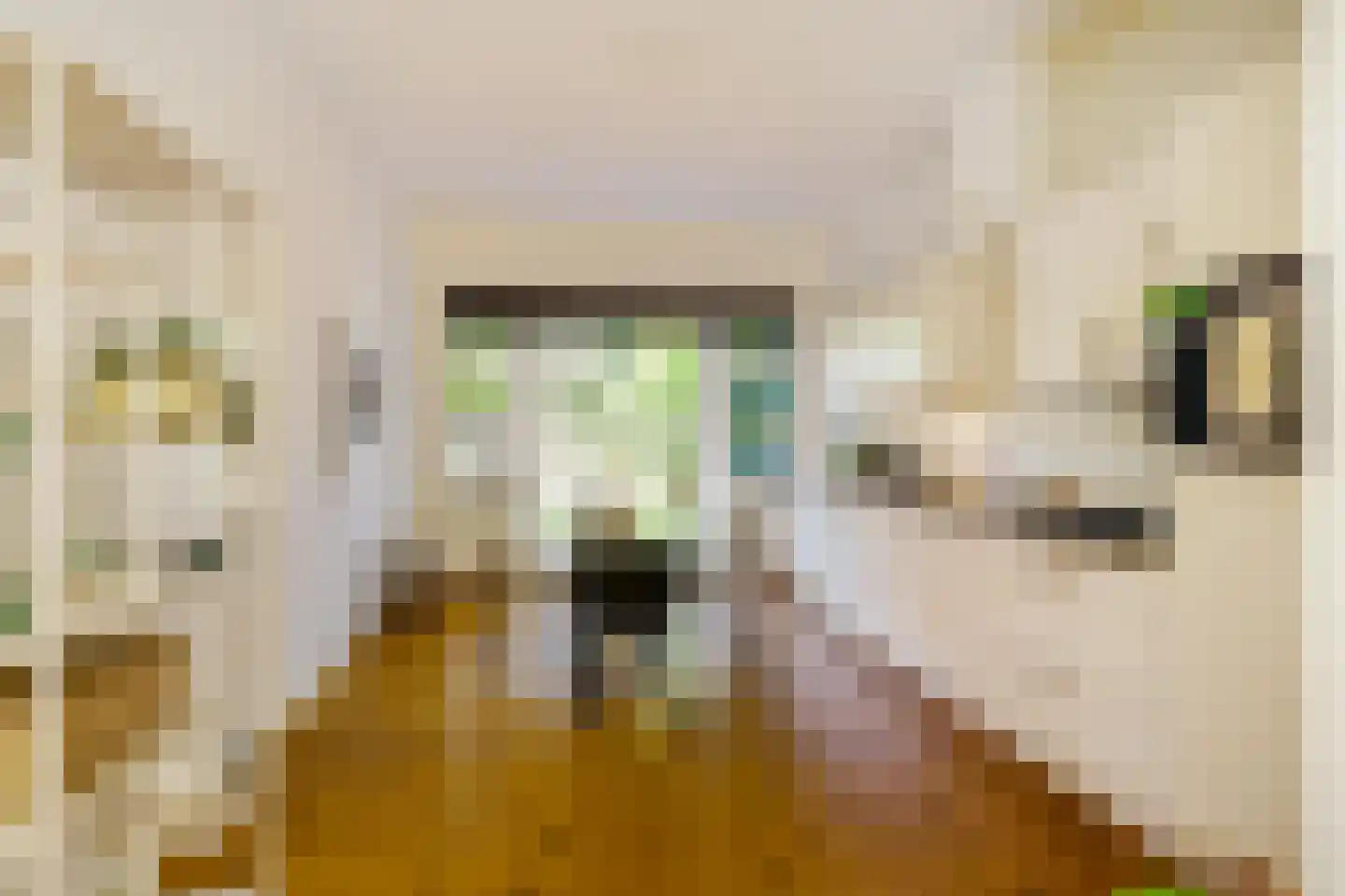 Dr. D. Bosstraat 1 Groningen thumbnail 4