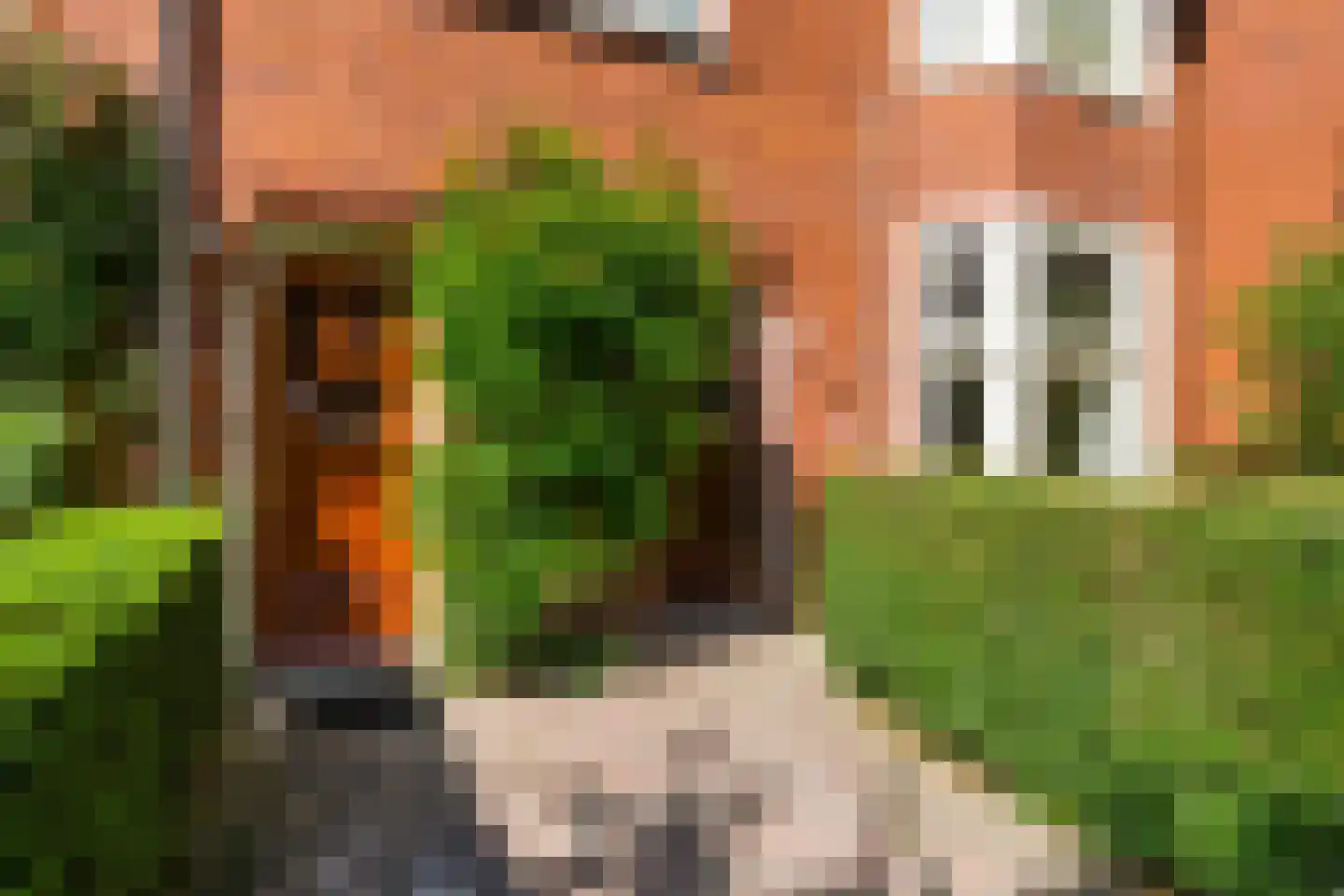 Dr. D. Bosstraat 1 Groningen thumbnail 6