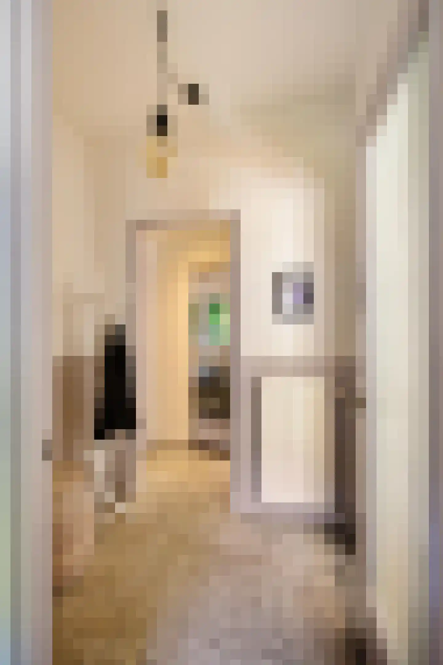 Dr. D. Bosstraat 1 Groningen thumbnail 7