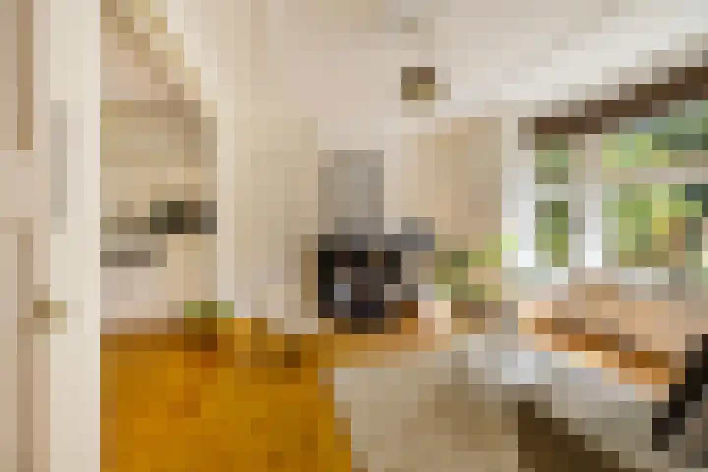 Dr. D. Bosstraat 1 Groningen thumbnail 9