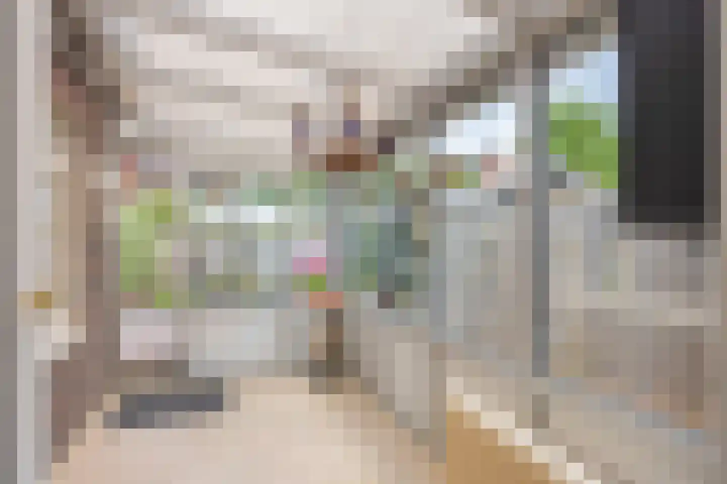 Dr. D. Bosstraat 17 Winschoten thumbnail 21
