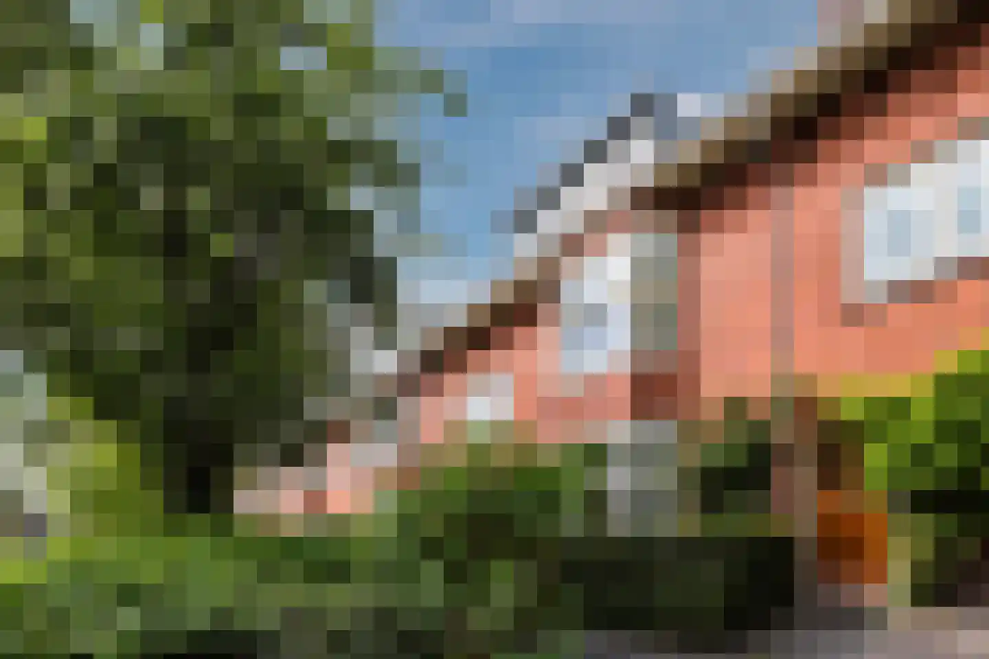 Dr. D. Bosstraat 3 a in Groningen