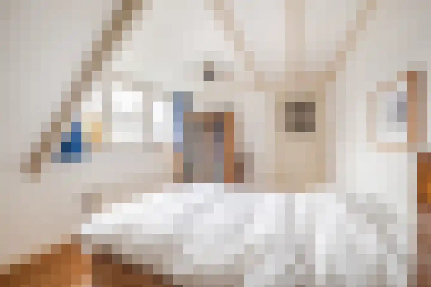 Dr. D. Bosstraat 3 a Groningen thumbnail 25