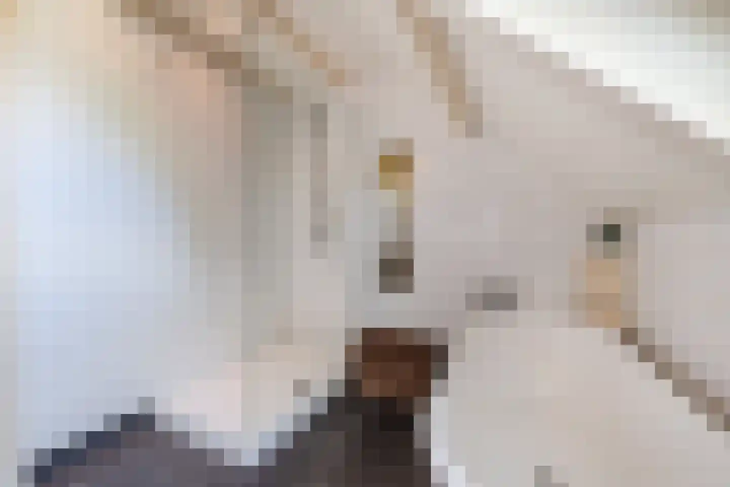 Dr. D. Bosstraat 3 a Groningen thumbnail 30