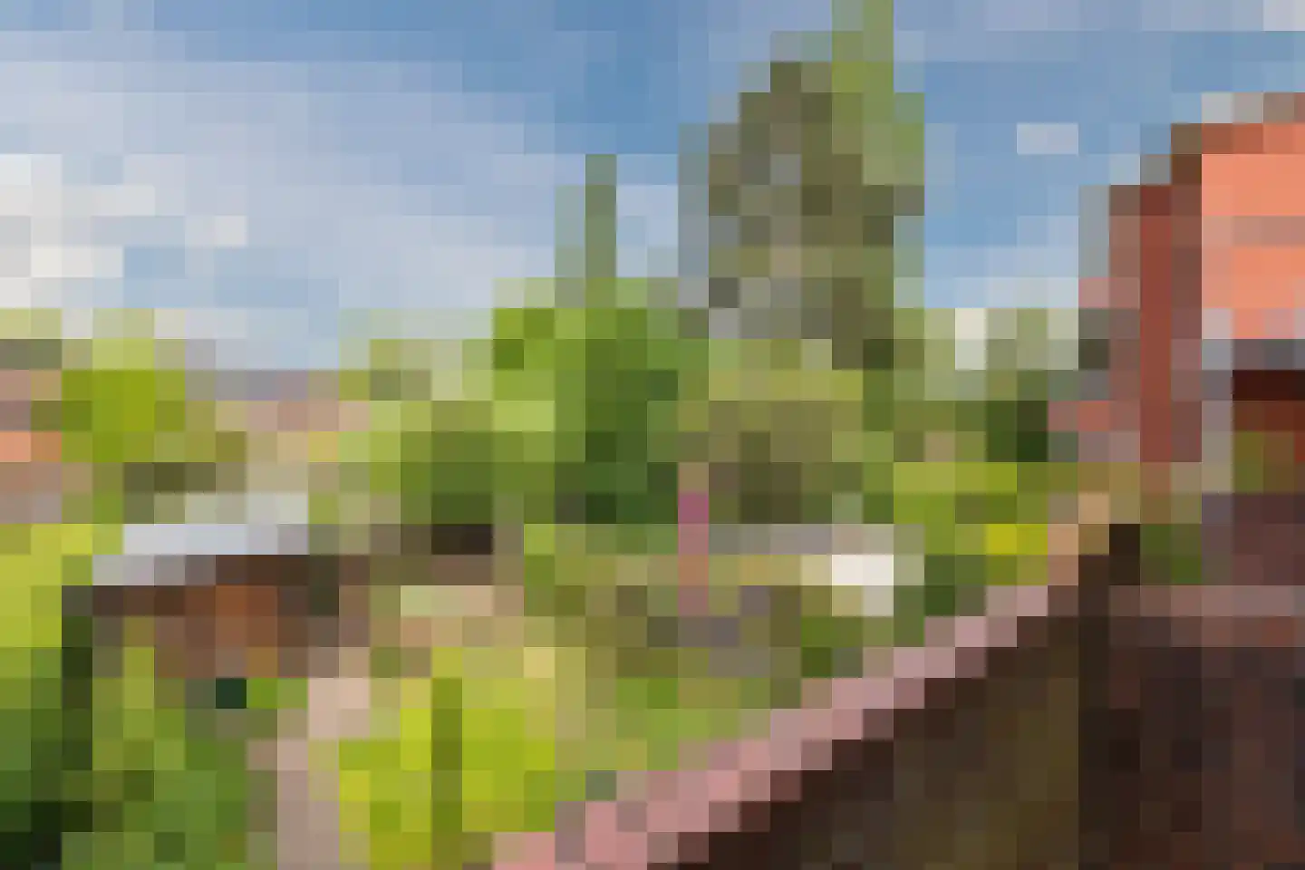 Dr. D. Bosstraat 3 a Groningen thumbnail 34