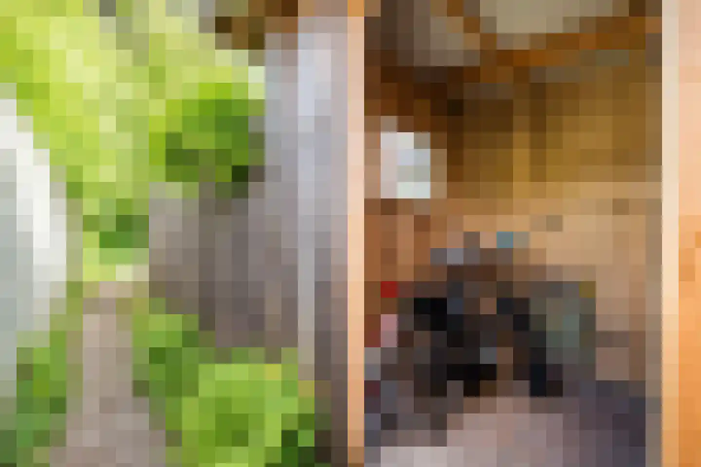 Dr. D. Bosstraat 3 a Groningen thumbnail 36
