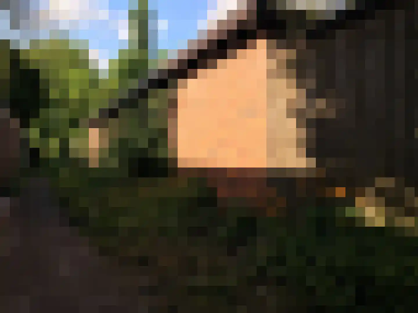 Dr. D. Bosstraat 3 a Groningen thumbnail 37
