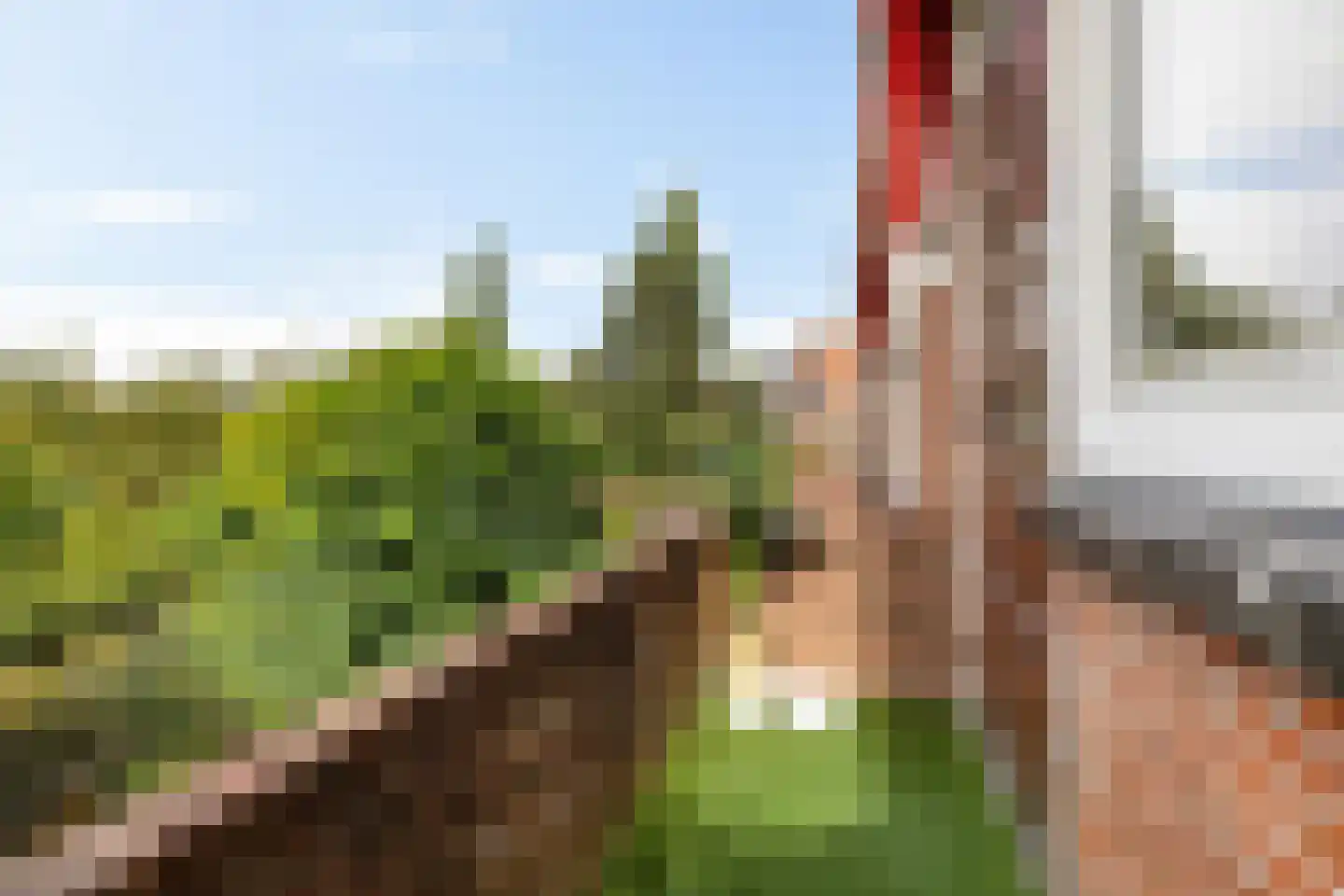 Dr. D. Bosstraat 9 a Groningen thumbnail 26