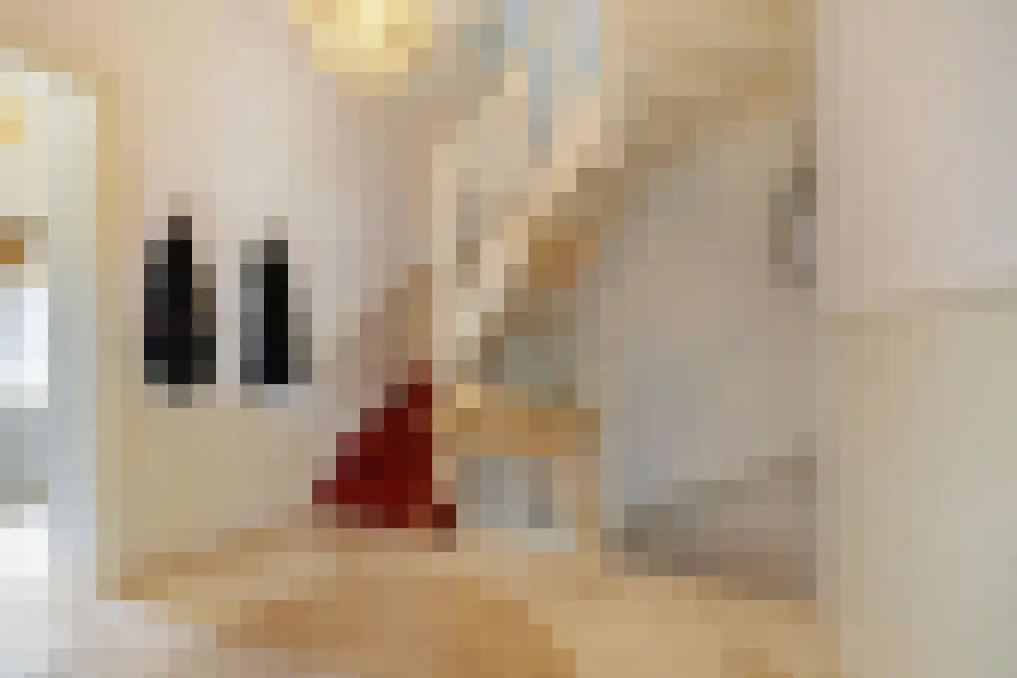 Dr. D. Bosstraat 9 a Groningen thumbnail 34