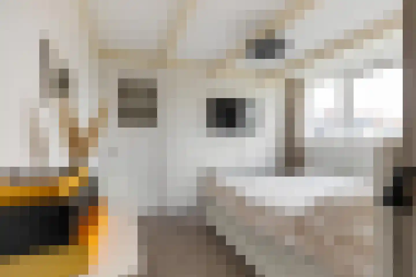 Dr. D. Bosstraat 9 a Groningen thumbnail 38