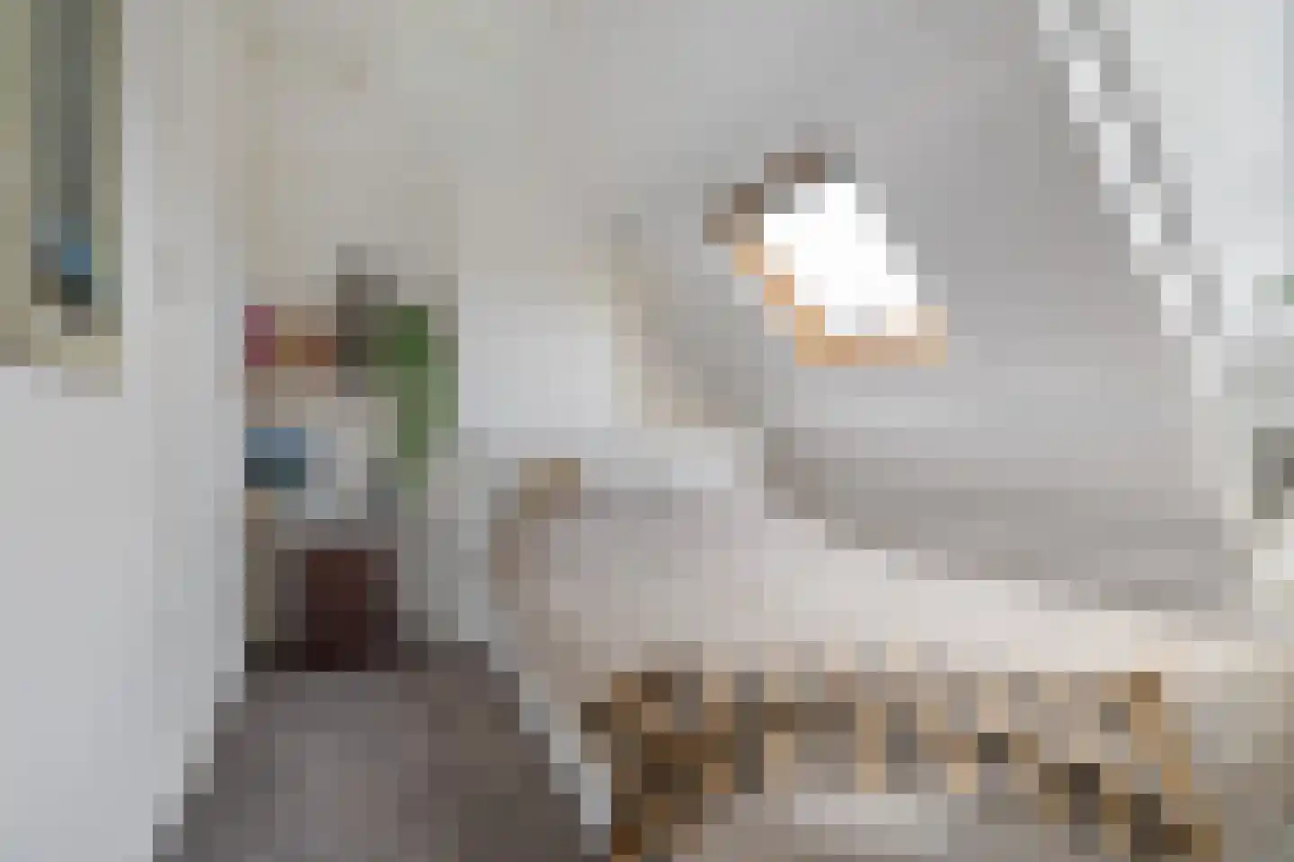 Dr. D. Bosstraat 9 a Groningen thumbnail 44