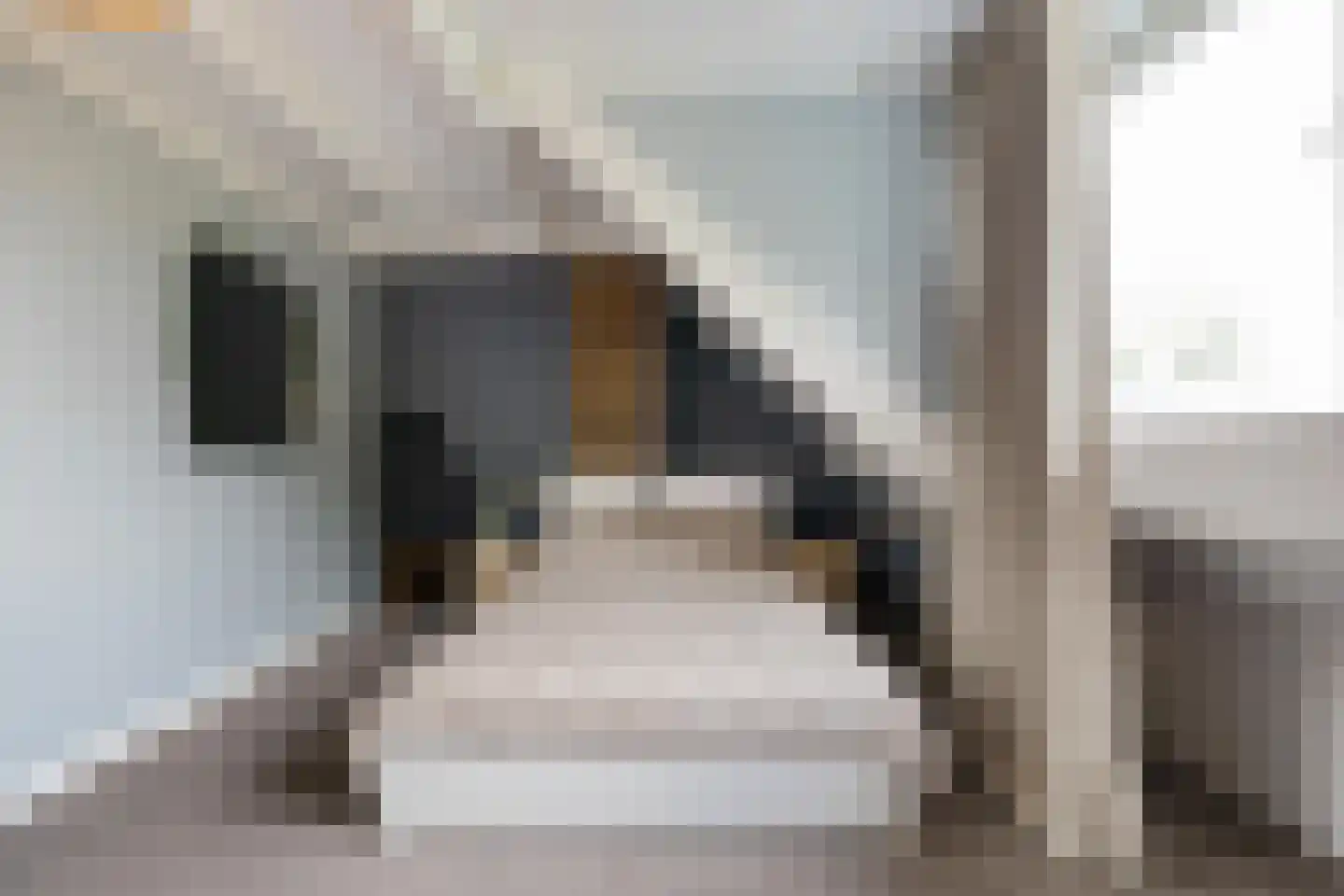 Dr. D. Bosstraat 9 a Groningen thumbnail 47