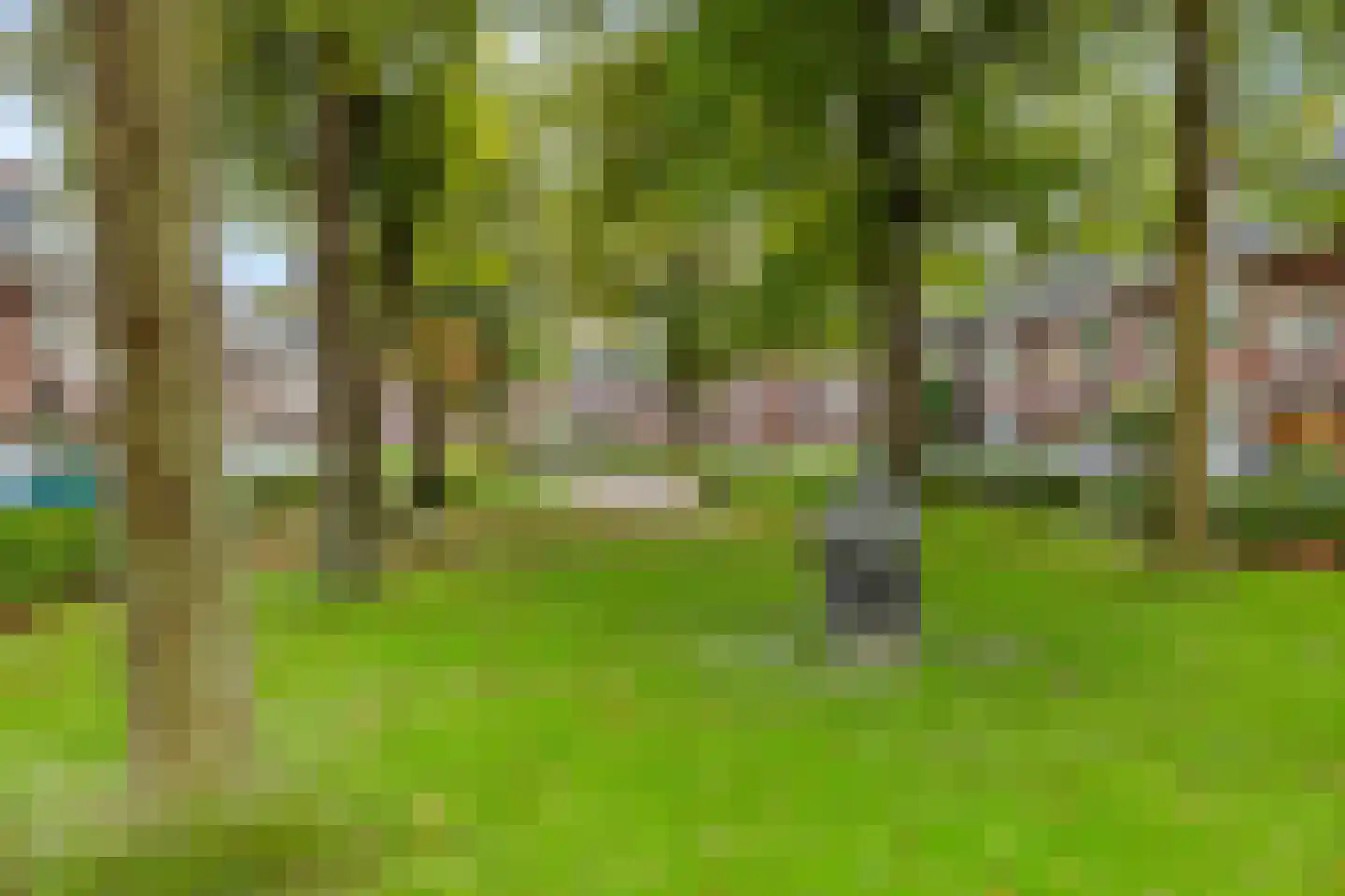 Dr. D. Bosstraat 9 a Groningen thumbnail 51
