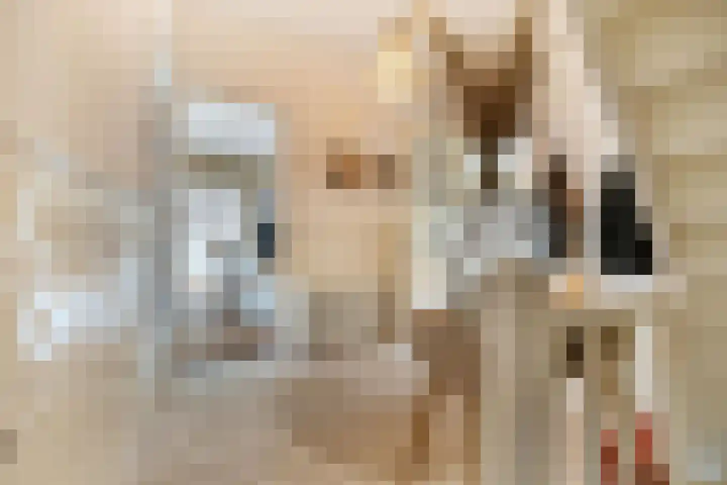 Dr. D. Bosstraat 9 a Groningen thumbnail 9