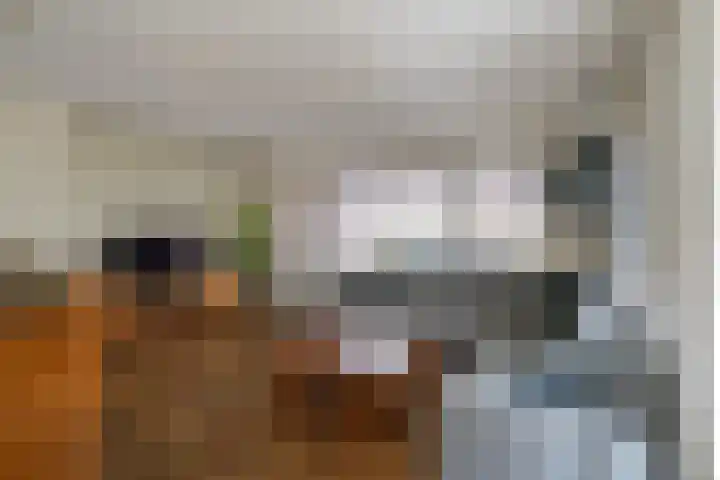 Dr. D.M. van Londenstraat 44 Varik thumbnail 12