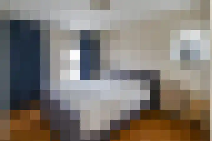 Dr. D.M. van Londenstraat 44 Varik thumbnail 21
