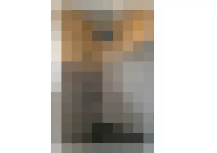 Dr. D.M. van Londenstraat 44 Varik thumbnail 27