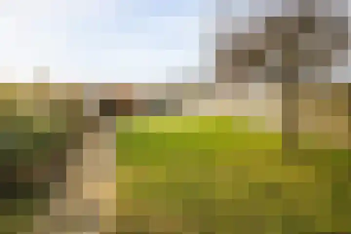 Dr. D.M. van Londenstraat 44 Varik thumbnail 36
