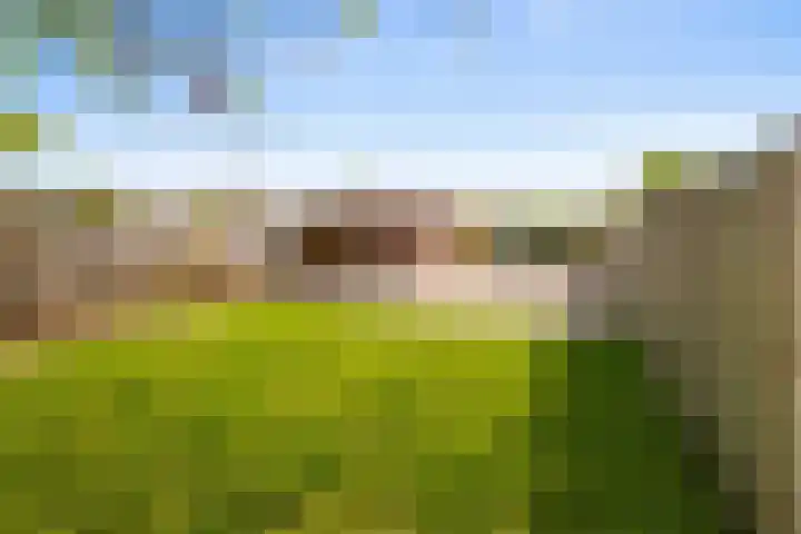 Dr. D.M. van Londenstraat 44 Varik thumbnail 37
