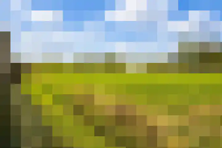 Dr. D.M. van Londenstraat 44 Varik thumbnail 40