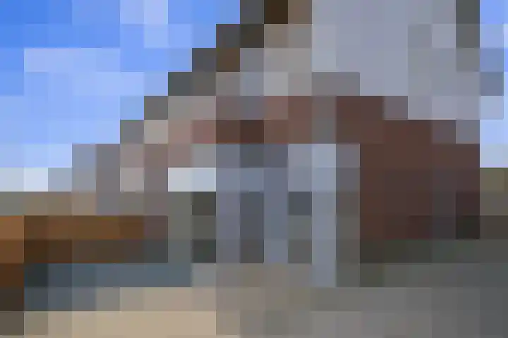 Dr. D.M. van Londenstraat 44 Varik thumbnail 9