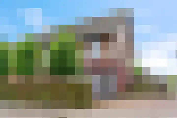 Dr. D.M. van Londenstraat 48 Varik