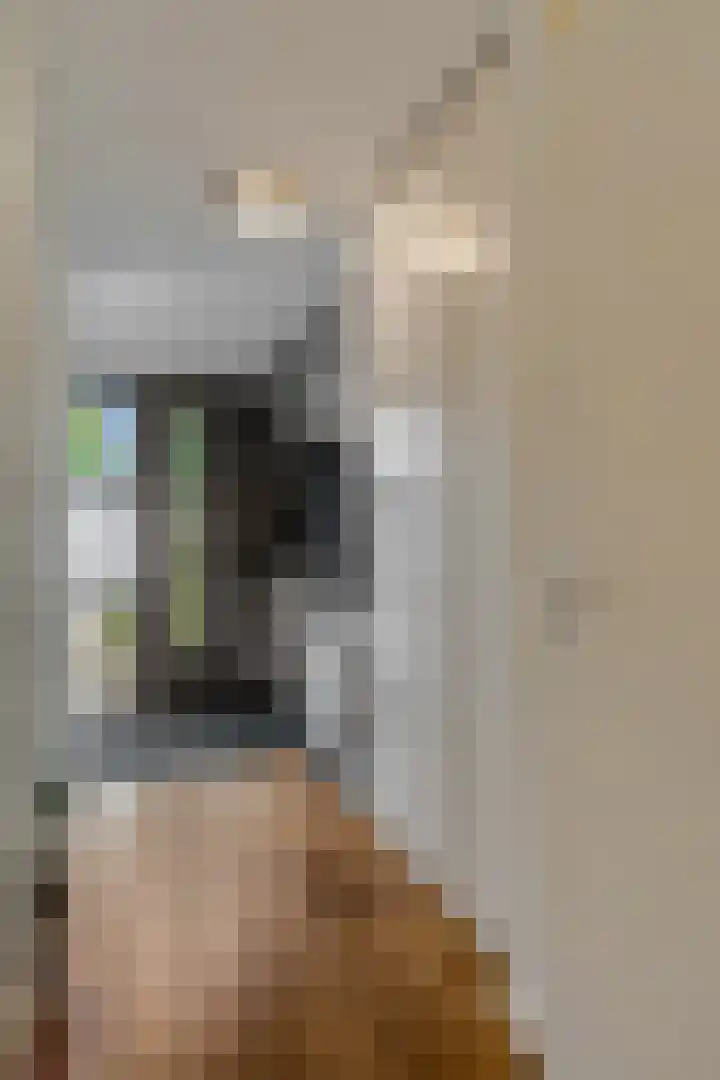 Dr. D.M. van Londenstraat 48 Varik thumbnail 20