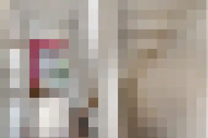 Dr. D.M. van Londenstraat 48 Varik thumbnail 27