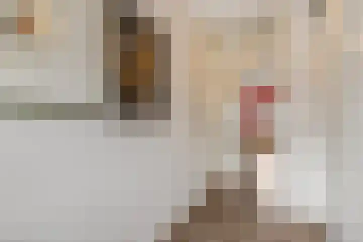 Dr. D.M. van Londenstraat 48 Varik thumbnail 28