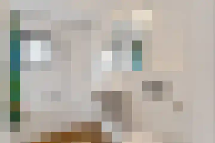 Dr. D.M. van Londenstraat 48 Varik thumbnail 29