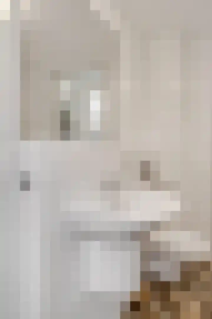 Dr. D.M. van Londenstraat 48 Varik thumbnail 30