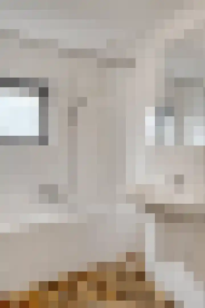 Dr. D.M. van Londenstraat 48 Varik thumbnail 31
