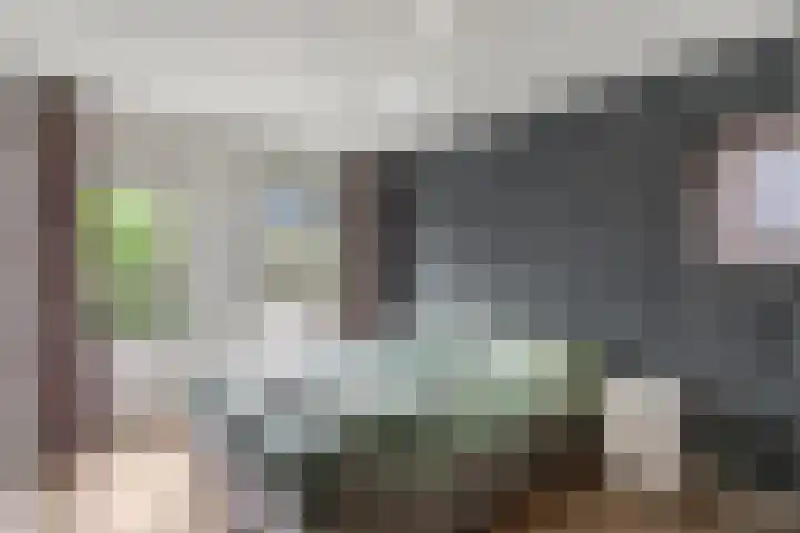 Dr. D.M. van Londenstraat 48 Varik thumbnail 4