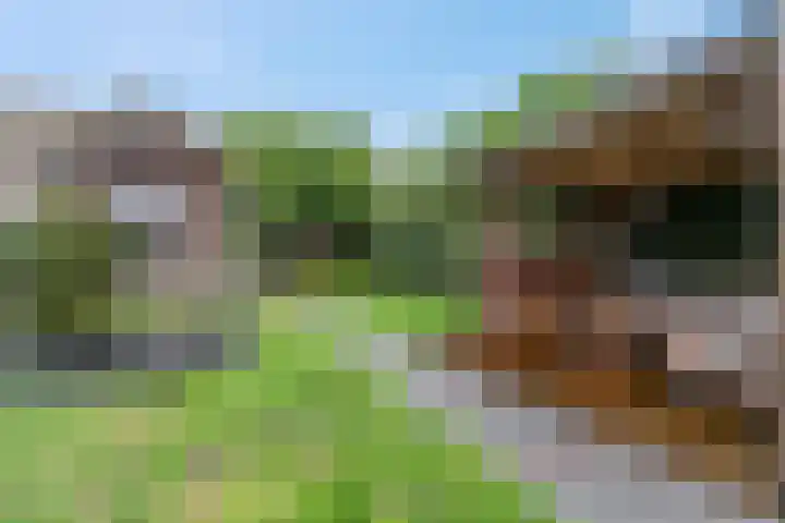 Dr. D.M. van Londenstraat 48 Varik thumbnail 45