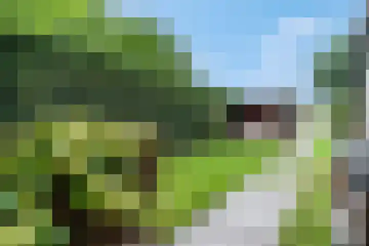 Dr. D.M. van Londenstraat 48 Varik thumbnail 5