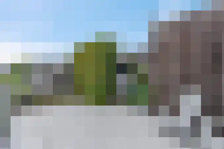 Dr. D.M. van Londenstraat 48 Varik thumbnail 51
