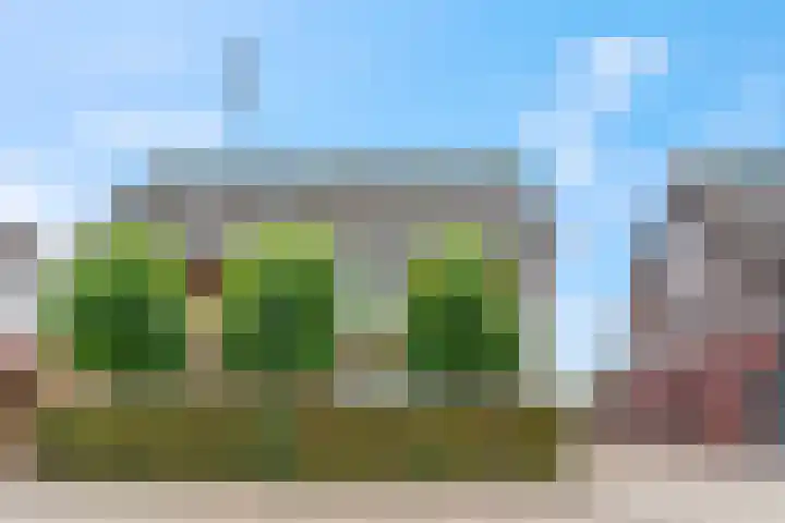 Dr. D.M. van Londenstraat 48 Varik thumbnail 57