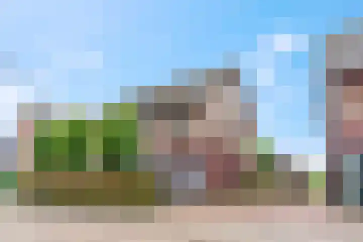 Dr. D.M. van Londenstraat 48 Varik thumbnail 58