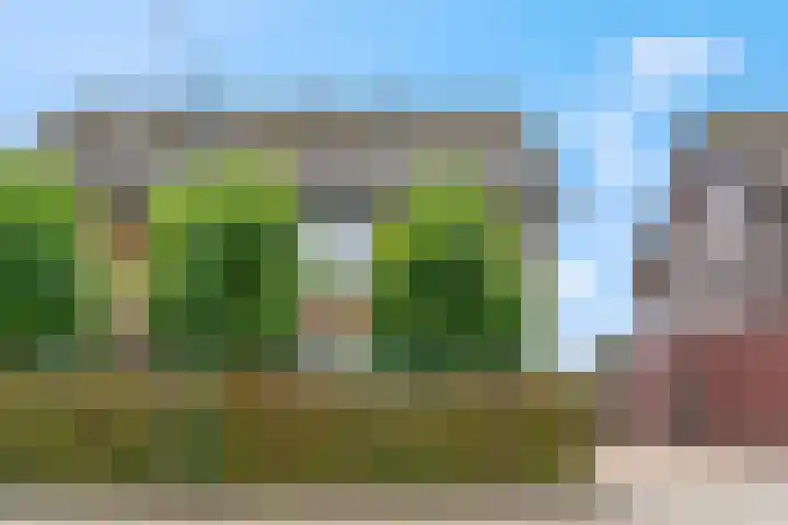 Dr. D.M. van Londenstraat 48 Varik thumbnail 6