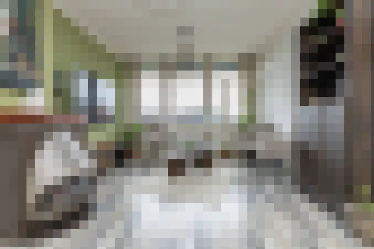 Dr Dassenstraat 29 Hoogeveen thumbnail 12