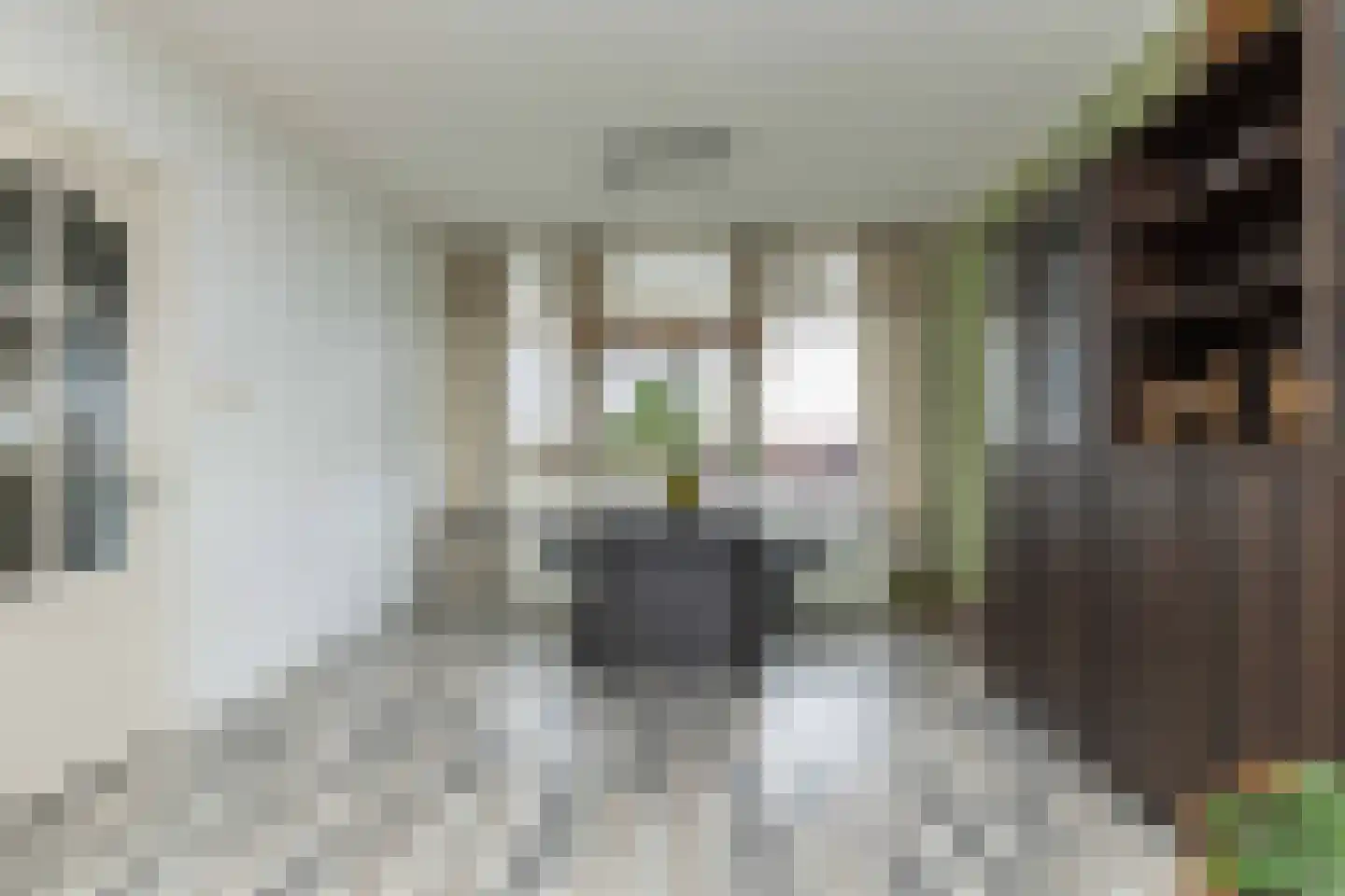 Dr Dassenstraat 29 Hoogeveen thumbnail 16