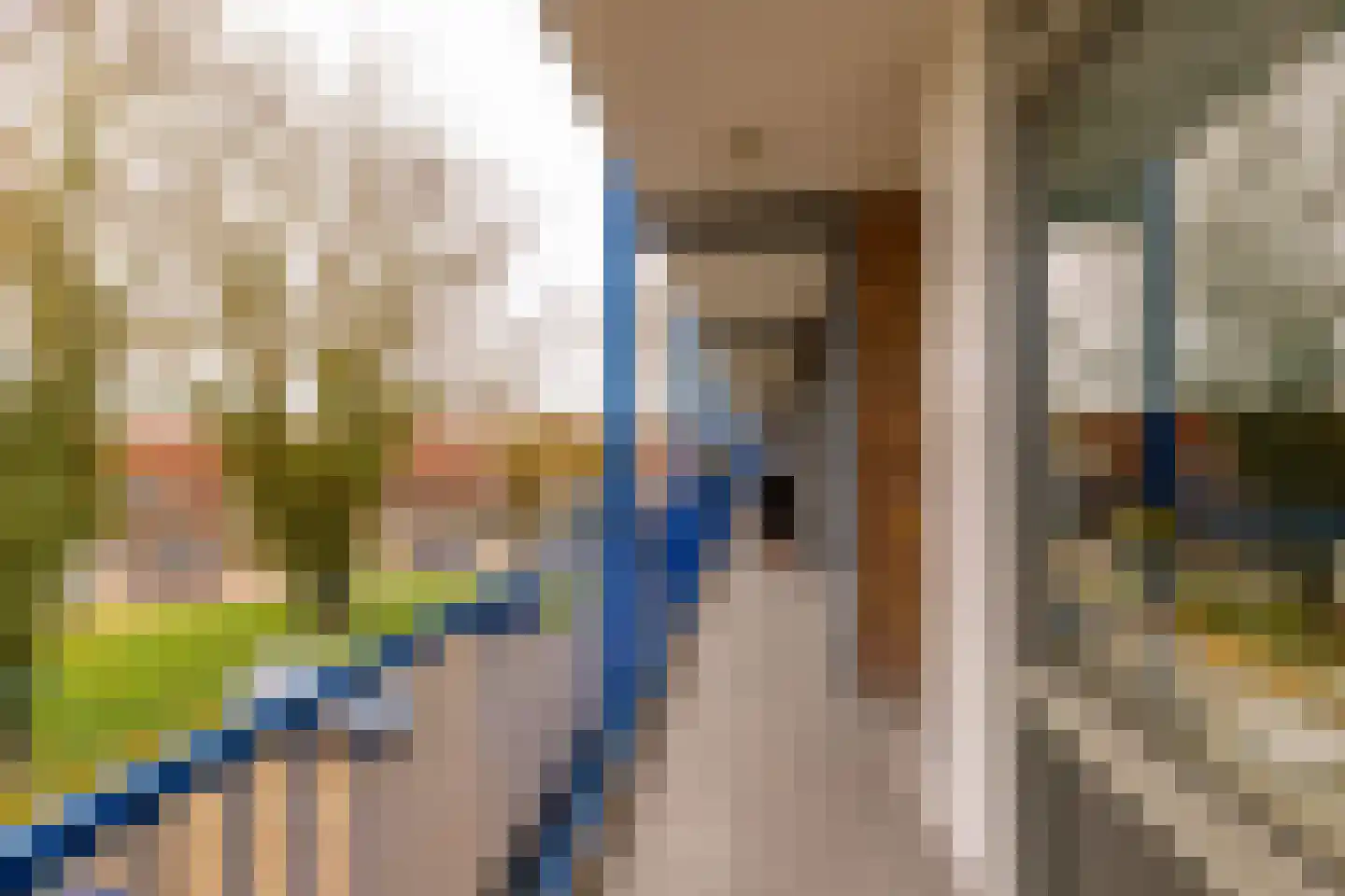 Dr Dassenstraat 29 Hoogeveen thumbnail 28