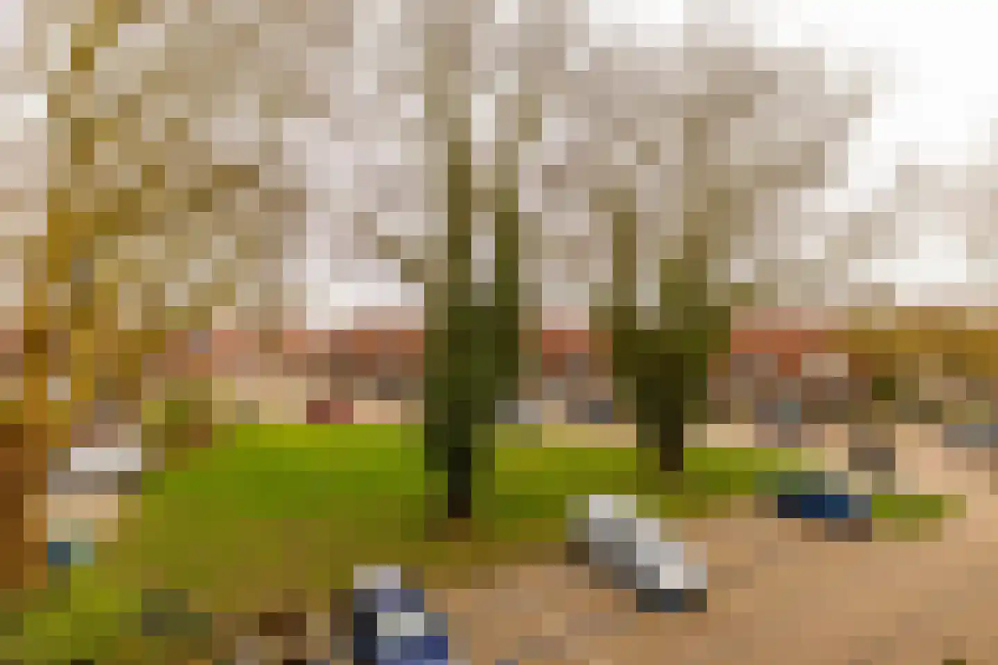 Dr Dassenstraat 29 Hoogeveen thumbnail 29