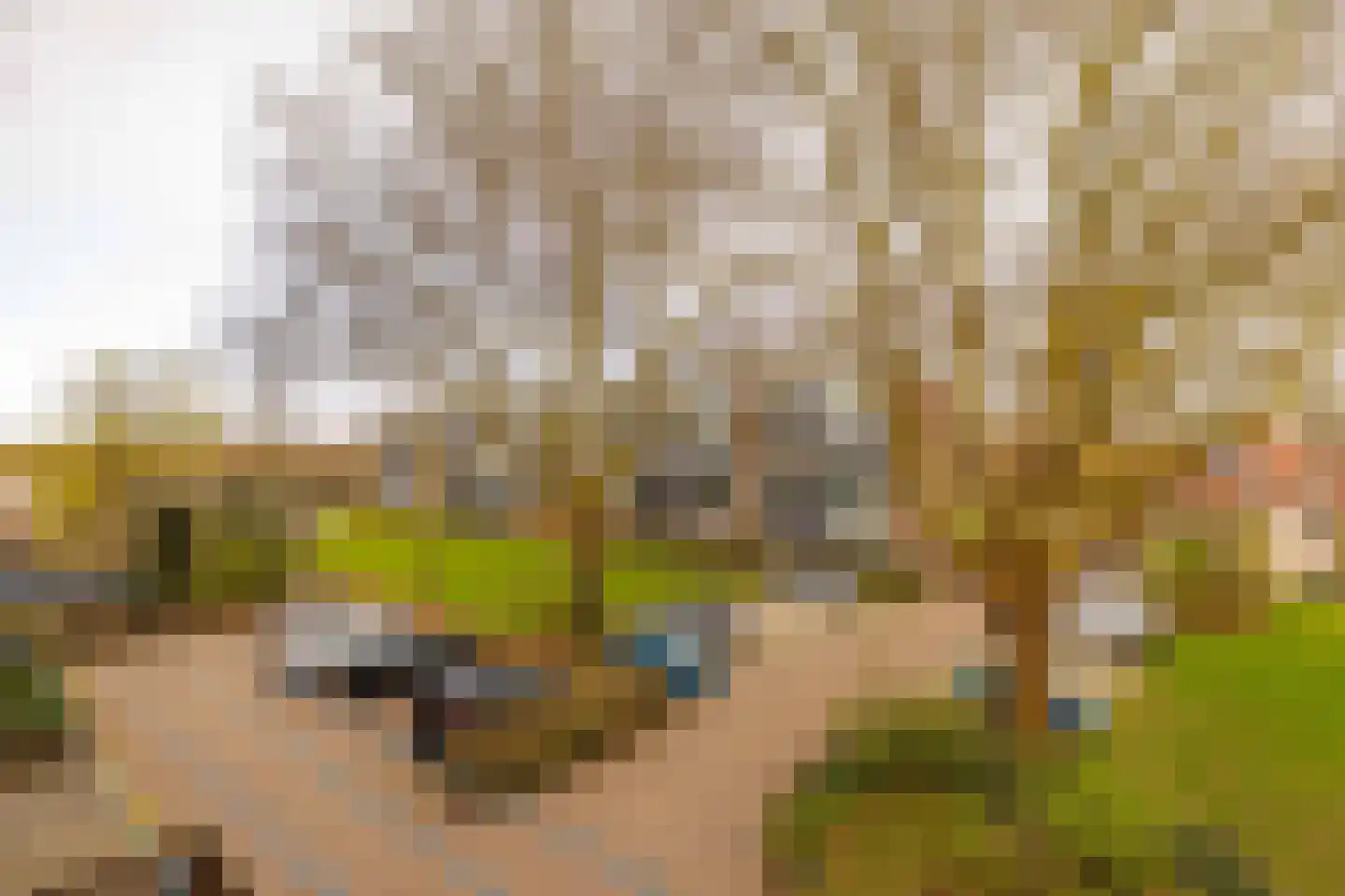 Dr Dassenstraat 29 Hoogeveen thumbnail 31