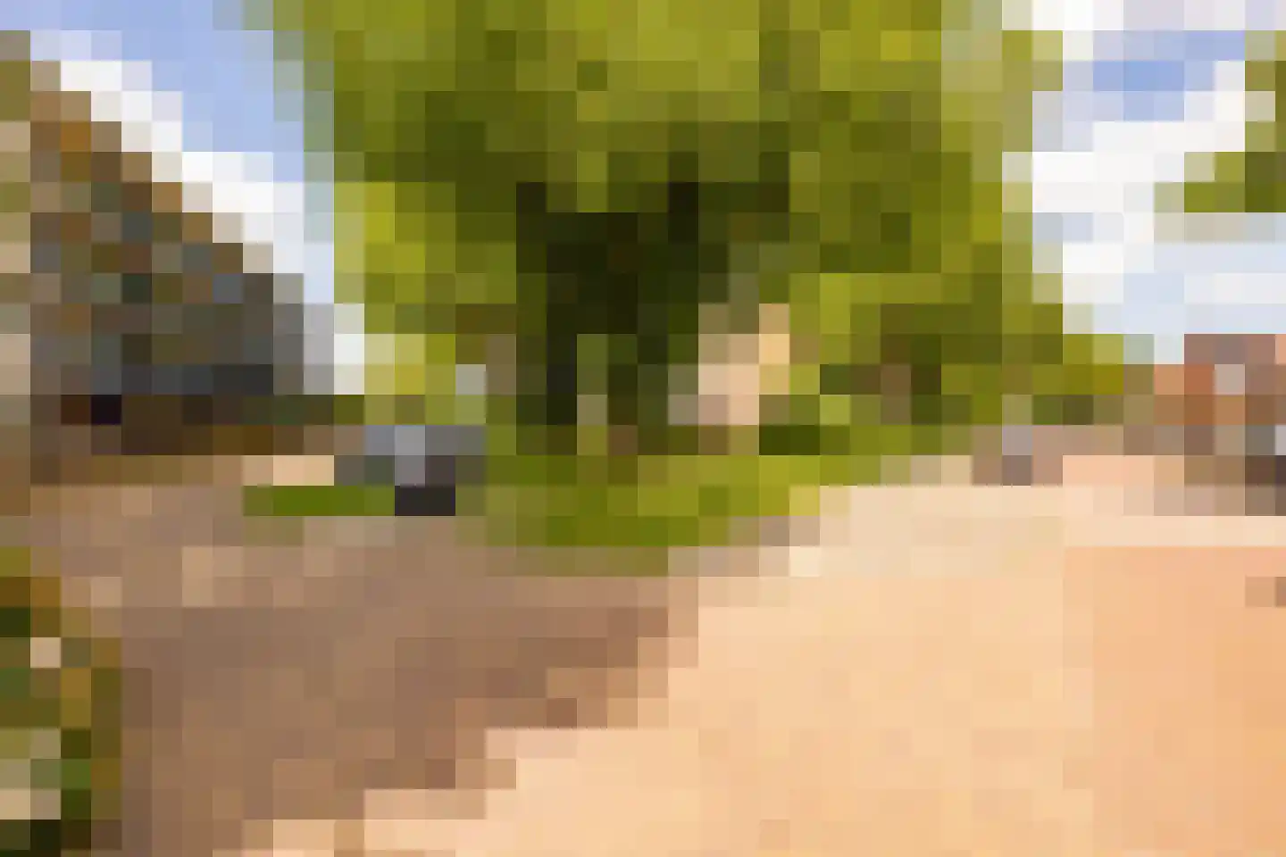 Dr Dassenstraat 29 Hoogeveen thumbnail 36