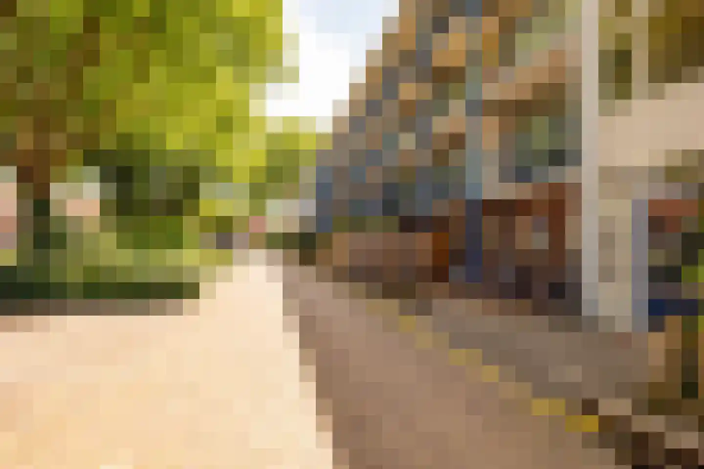 Dr Dassenstraat 29 Hoogeveen thumbnail 37
