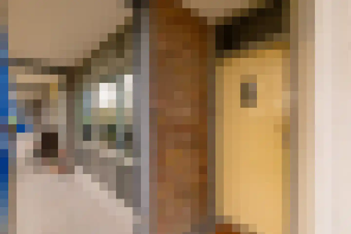 Dr Dassenstraat 29 Hoogeveen thumbnail 9
