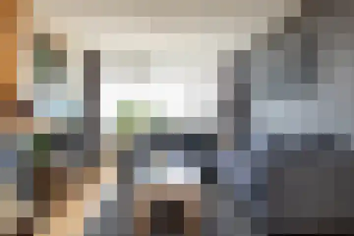 Dr Dassenstraat 45 Hoogeveen thumbnail 12
