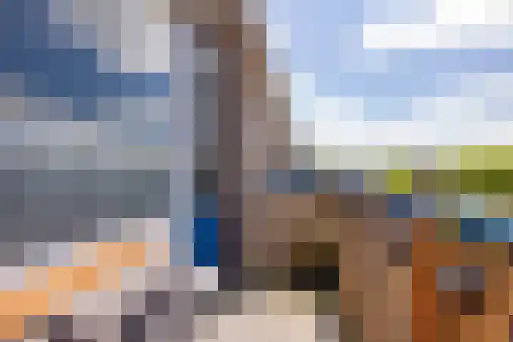 Dr Dassenstraat 45 Hoogeveen thumbnail 24